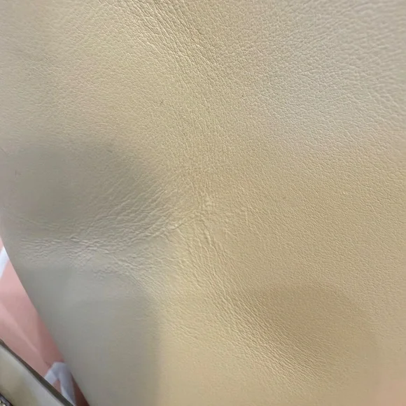 Mansur Gavriel Large Bucket Bag in Sand - Picture 13 of 15